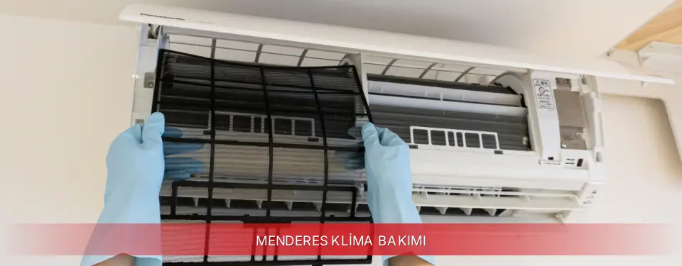 Menderes İlçemi Regal Klima Bakımı
